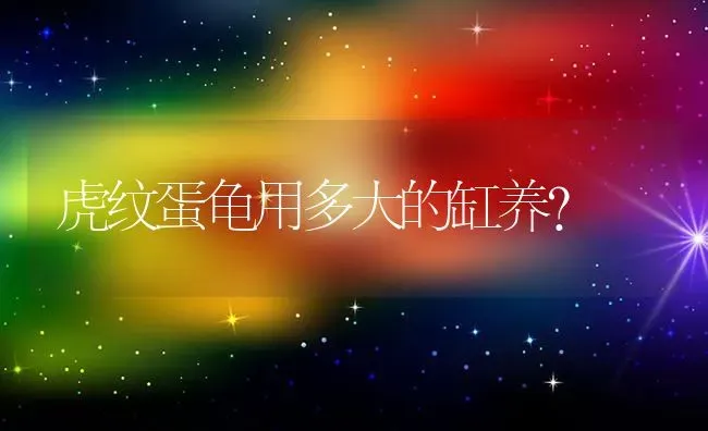 虎纹蛋龟用多大的缸养？ | 动物养殖问答