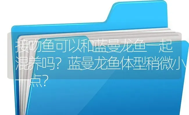 接吻鱼可以和蓝曼龙鱼一起混养吗？蓝曼龙鱼体型稍微小一点？ | 鱼类宠物饲养