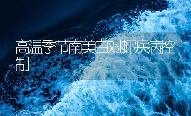 高温季节南美白对虾疾病控制 | 海水养殖技术