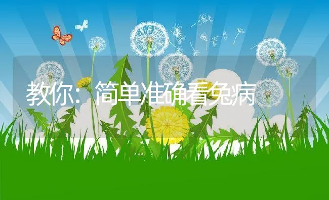 教你：简单准确看兔病 | 水产养殖知识