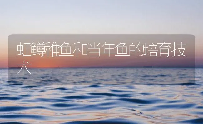 虹鳟稚鱼和当年鱼的培育技术 | 海水养殖技术