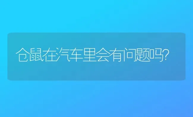 仓鼠在汽车里会有问题吗？ | 动物养殖问答