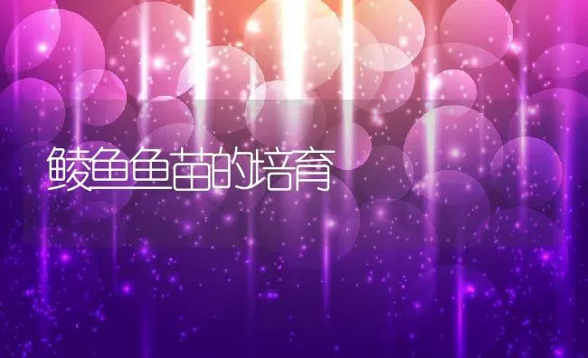 鲮鱼鱼苗的培育 | 淡水养殖技术
