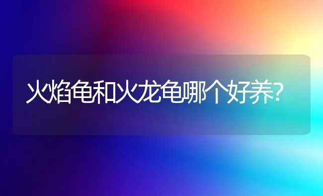 狗狗细小好了之后应该怎么调理？ | 动物养殖问答