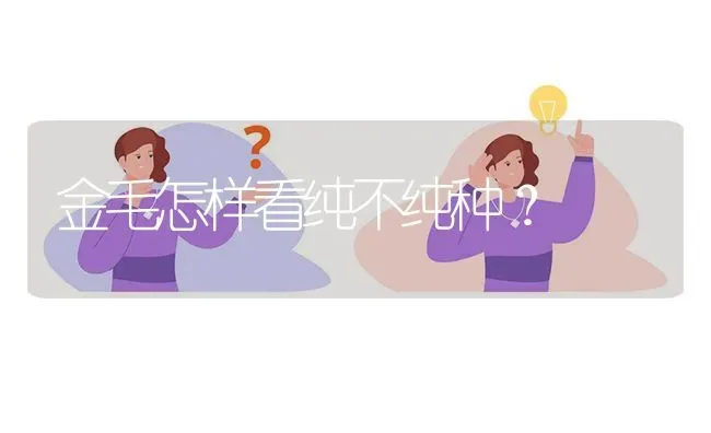 边牧配种颜色，黑白母和什么颜色公，会生出蓝白色宝宝？ | 动物养殖问答