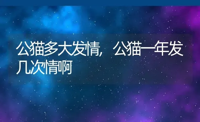 公猫多大发情,公猫一年发几次情啊 | 宠物百科知识