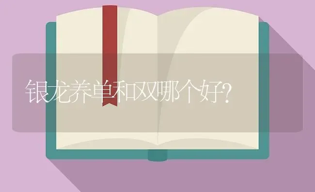 银龙养单和双哪个好？ | 鱼类宠物饲养