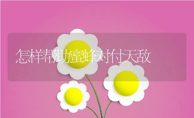 怎样帮助蜜蜂对付天敌 | 动物养殖饲料