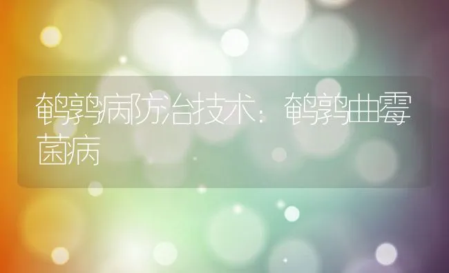 鹌鹑病防治技术：鹌鹑曲霉菌病 | 动物养殖学堂