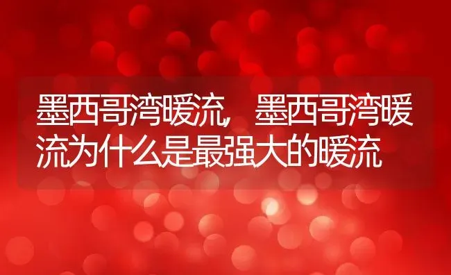 墨西哥湾暖流,墨西哥湾暖流为什么是最强大的暖流 | 宠物百科知识