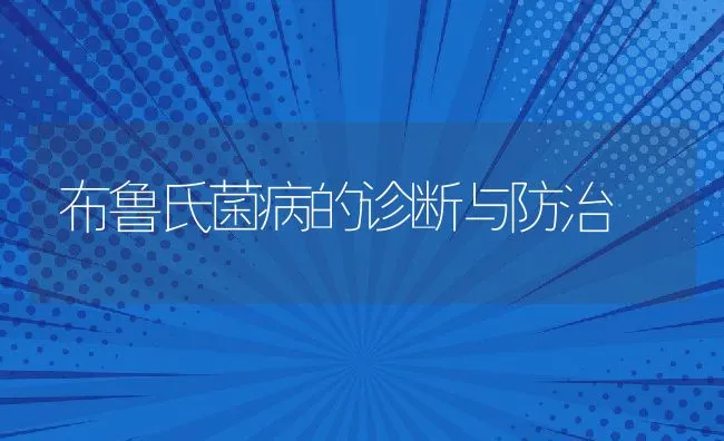 无公害草鱼高效快速养殖技术 | 海水养殖技术