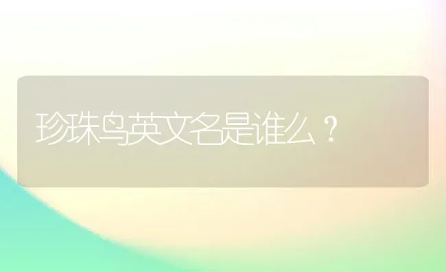 珍珠鸟英文名是谁么？ | 动物养殖问答