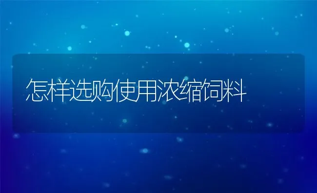 怎样选购使用浓缩饲料 | 动物养殖饲料