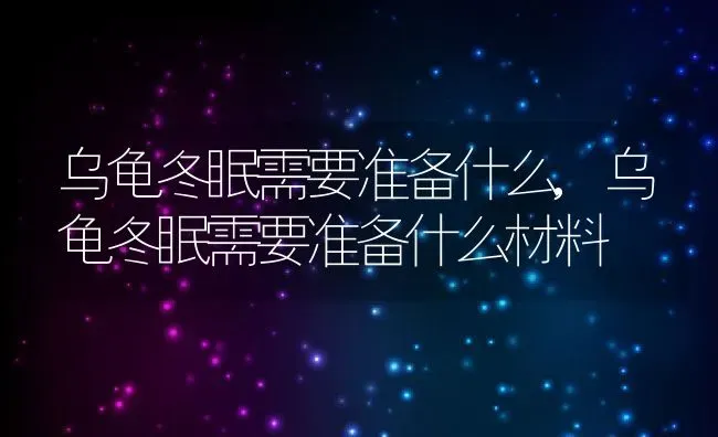 乌龟冬眠需要准备什么,乌龟冬眠需要准备什么材料 | 宠物百科知识