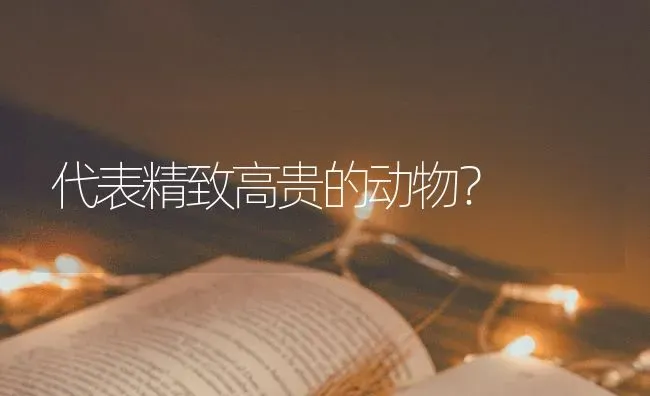 代表精致高贵的动物？ | 动物养殖问答