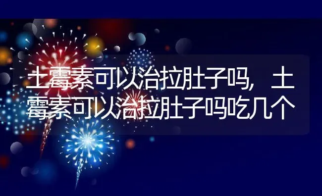 土霉素可以治拉肚子吗,土霉素可以治拉肚子吗吃几个 | 宠物百科知识