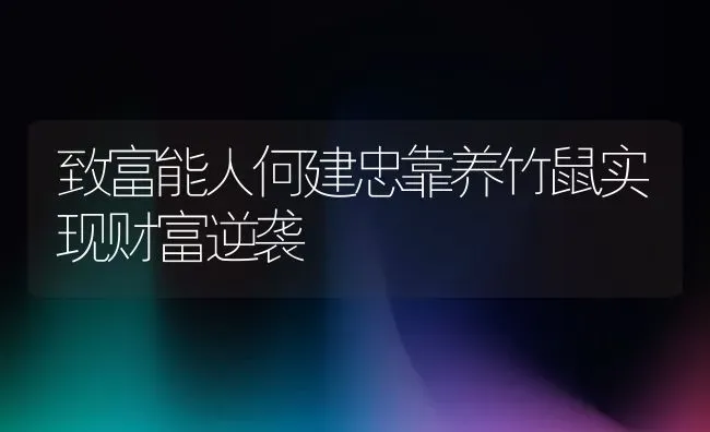 致富能人何建忠靠养竹鼠实现财富逆袭 | 动物养殖百科