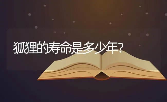 狗狗好几天不吃东西还呕痰？ | 动物养殖问答