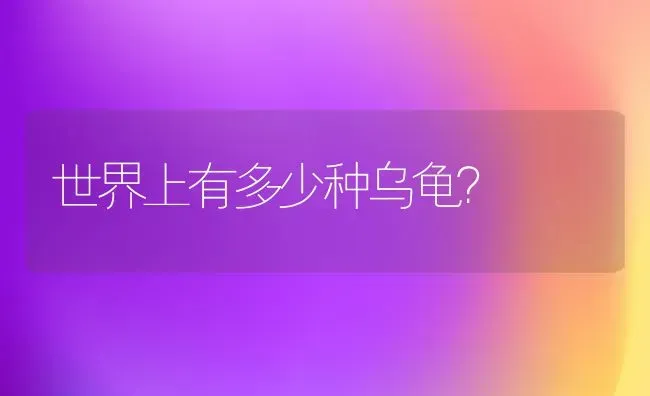 世界上有多少种乌龟？ | 动物养殖问答