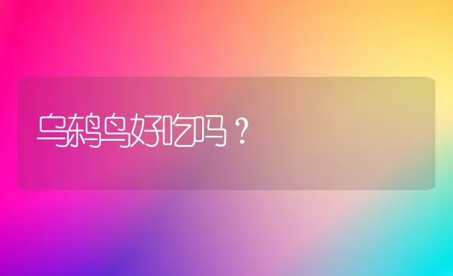 比较观察壁虎和小猫的外形有什么特征？ | 动物养殖问答