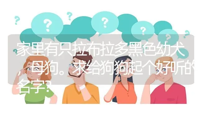 家里有只拉布拉多黑色幼犬，母狗。求给狗狗起个好听的名字？ | 动物养殖问答