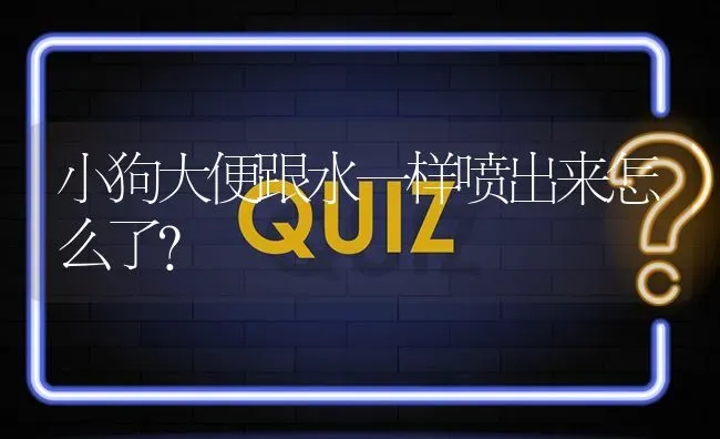 小狗大便跟水一样喷出来怎么了？ | 动物养殖问答