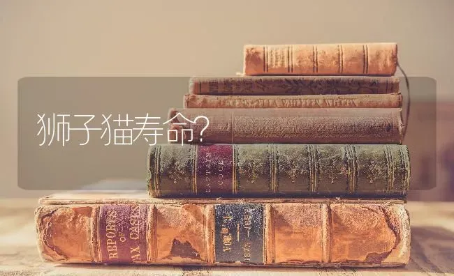 狮子猫寿命？ | 动物养殖问答