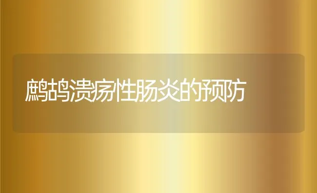 鹧鸪溃疡性肠炎的预防 | 水产养殖知识