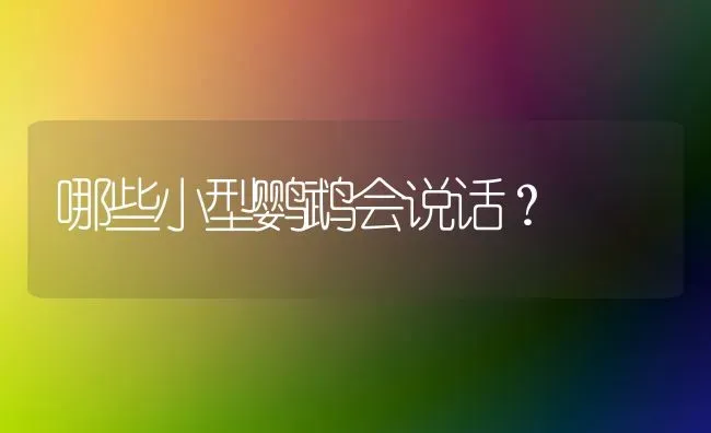 两个月大的柯基总爱睡觉怎么回事？ | 动物养殖问答