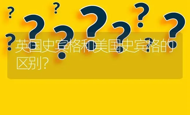 英国史宾格和美国史宾格的区别？ | 动物养殖问答