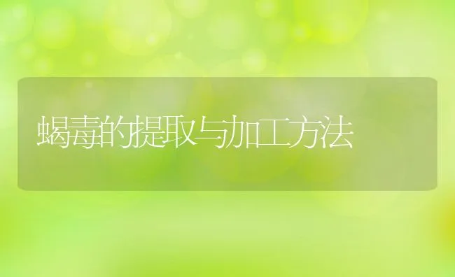 蝎毒的提取与加工方法 | 水产养殖知识