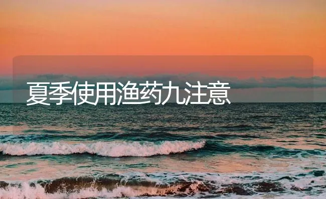 夏季使用渔药九注意 | 海水养殖技术