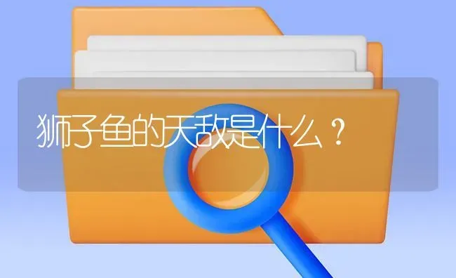 狮子鱼的天敌是什么？ | 鱼类宠物饲养