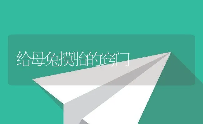 当前广东猪病流行情况及防治对策 | 动物养殖学堂