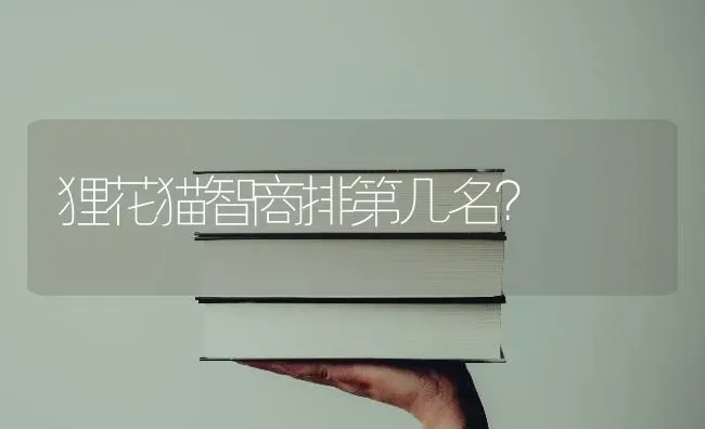 雪纳瑞聪明么？听话么？ | 动物养殖问答