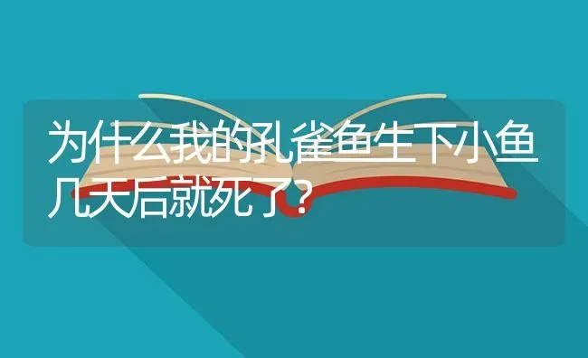 为什么我的孔雀鱼生下小鱼几天后就死了？ | 鱼类宠物饲养