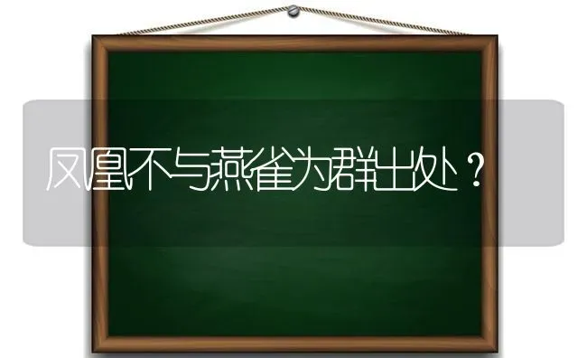 凤凰不与燕雀为群出处？ | 动物养殖问答