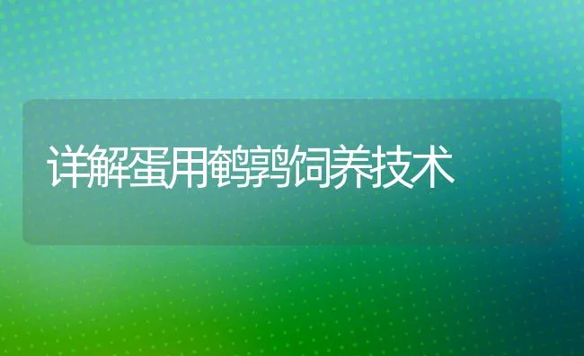 详解蛋用鹌鹑饲养技术 | 动物养殖饲料