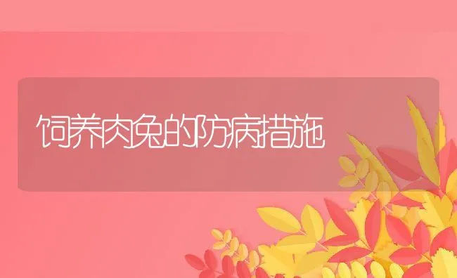 饲养肉兔的防病措施 | 水产养殖知识