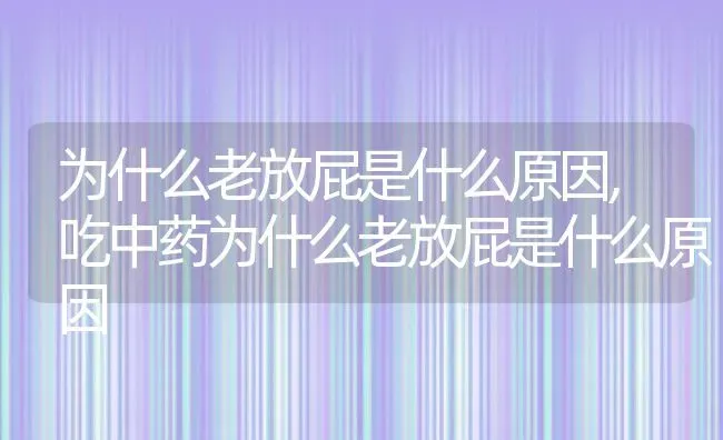 为什么老放屁是什么原因,吃中药为什么老放屁是什么原因 | 宠物百科知识