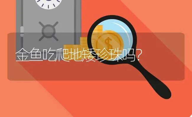 金鱼吃爬地矮珍珠吗？ | 鱼类宠物饲养