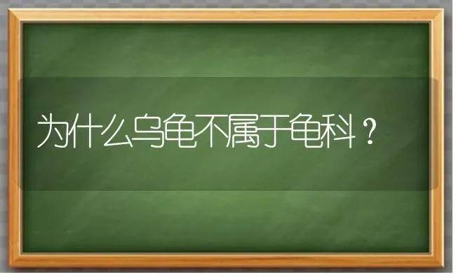 为什么乌龟不属于龟科？ | 动物养殖问答