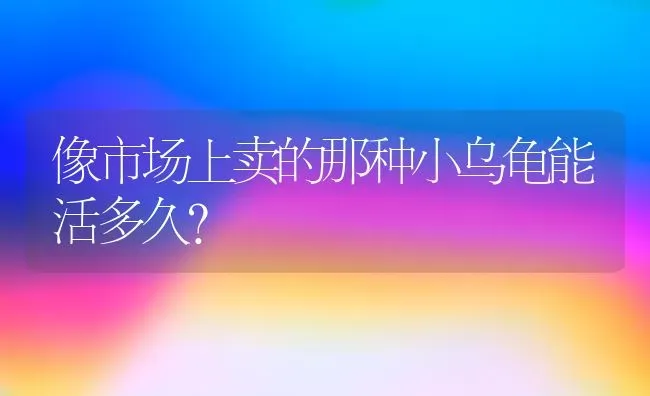 像市场上卖的那种小乌龟能活多久？ | 动物养殖问答