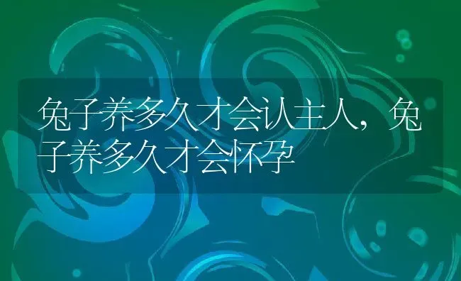 兔子养多久才会认主人,兔子养多久才会怀孕 | 宠物百科知识