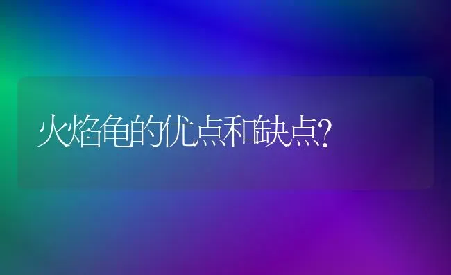 火焰龟的优点和缺点？ | 动物养殖问答