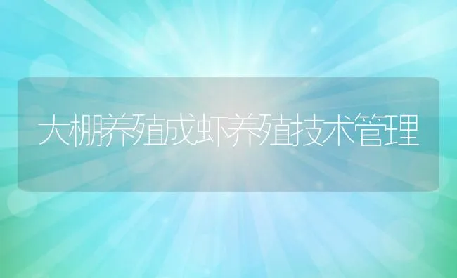 大棚养殖成虾养殖技术管理 | 动物养殖饲料