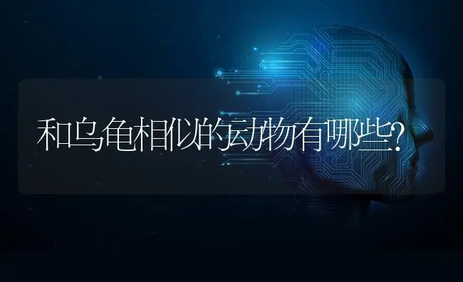 和乌龟相似的动物有哪些？ | 动物养殖问答