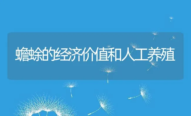 蟾蜍的经济价值和人工养殖 | 动物养殖学堂