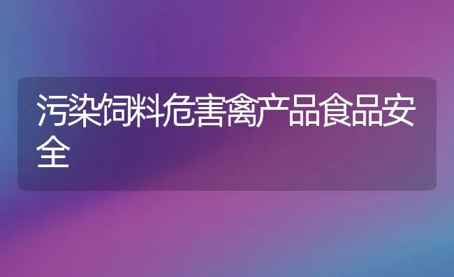 污染饲料危害禽产品食品安全 | 动物养殖饲料