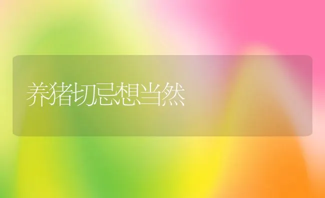 养猪切忌想当然 | 动物养殖学堂